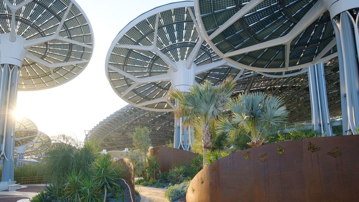 Tak vypadá architektura na dubajském Expo: Procházka lesíkem elektrostromů